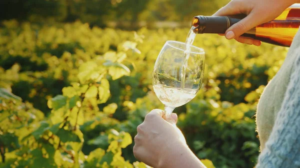 Наливаємо вино у склянку на фоні виноградника. концепція винного туру — стокове фото
