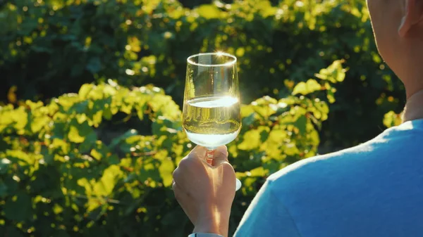Чоловік тримає поблизу виноградника стакан білого вина. Вид ззаду над плечем — стокове фото