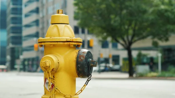 Yellow fire hydrant. In the background, the blurred busy Toronto street — Stock Photo, Image