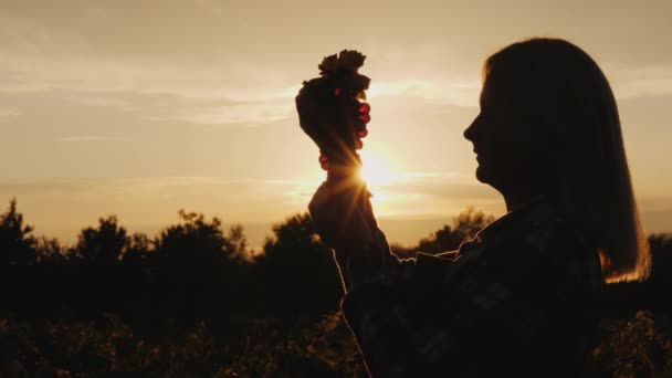 Silhueta de um agricultor segurando um monte de uvas em suas mãos contra o pôr do sol — Vídeo de Stock