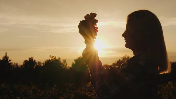 Silhouette of a farmer holding a bunch of grapes in his hands against the setting sun — Stock Photo, Image