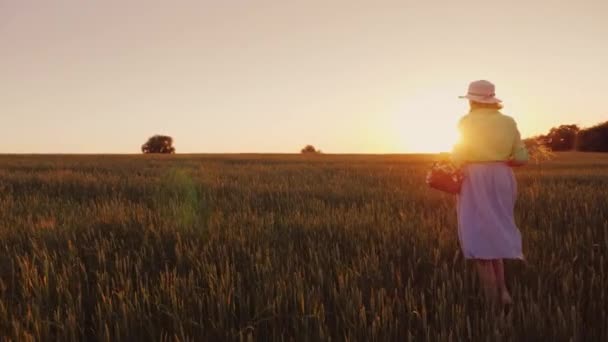 Donna romantica con bouquet di fiori selvatici che camminano sul campo al tramonto. Vista posteriore — Video Stock