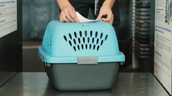 Canlı hayvan uçakla göndermek için hazırlık. Sopa kafes etikette