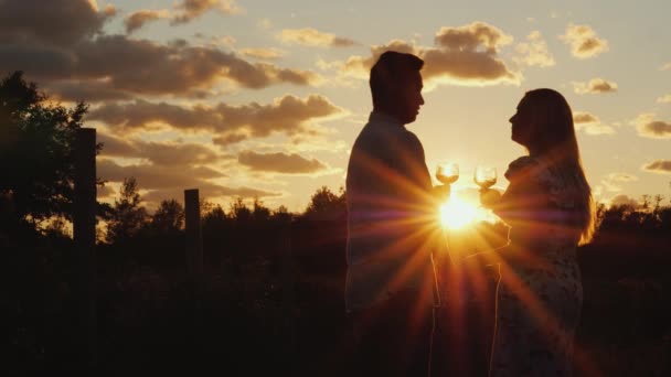 Romantisches multiethnisches Paar, das Wein bei Sonnenuntergang trinkt. Sie stehen in der Nähe des Weinbergs. Flitterwochen und Reisekonzept — Stockvideo