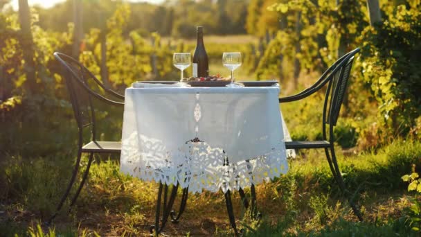 Una mesa con una botella de vino y colas se encuentra sobre el fondo de un viñedo. Lugar para fechas románticas y cata de vinos — Vídeos de Stock