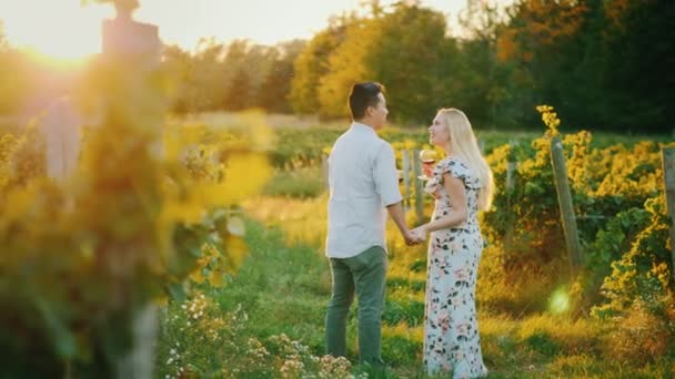 Jeune couple multiethnique buvant du vin dans un vignoble. Dégustation privée et concept de date — Video