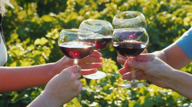 Yakınındaki üzüm şarap tatma turist bir grup. Birlikte kodes gözlük, yakın çekim