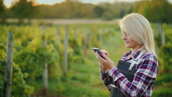 Akkerbouwer vrouw maakt gebruik van een smartphone op de achtergrond van zijn wijngaard. Kleine ondernemer. Zijaanzicht — Stockfoto