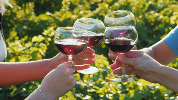 Група туристів дегустує вино поблизу виноградника. Разом клінкерні окуляри, крупним планом — стокове фото