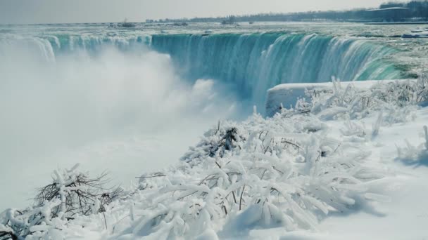 La cascata sotto forma di ferro di cavallo è una vista dalla costa canadese alle cascate del Niagara in inverno. Sui rami degli alberi, neve e ghiaccioli — Video Stock