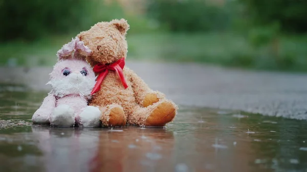 Two wet toys sit in the rain on the road — Stock Photo, Image