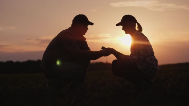 Los agricultores trabajan en el campo hasta tarde. Siluetas de hombres y mujeres agricultores — Vídeos de Stock