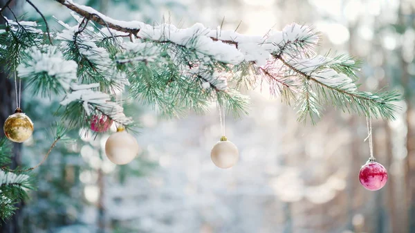 A green branch of spruce with Christmas toys and fluffy snow on green branches in a pine winter forest — Stock Photo, Image