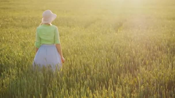 Una contadina si trova in un campo di grano, ammirando l'infinito campo verde. Concetto di agricoltore biologico — Video Stock