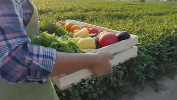 Zemědělec nese krabici s zeleninou a zelení podél svého oboru — Stock video