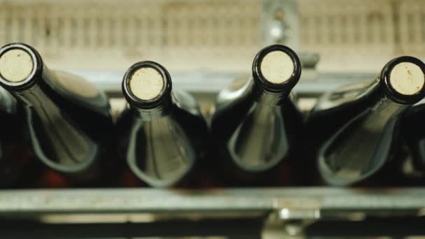 Butelki z winem zamykane korkiem poruszają się wzdłuż taśmy transportowej. — Wideo stockowe