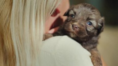 Bir kadın cuddles ve yavaşça küçük bir köpek yavrusu sarılarak