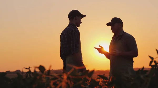 Jongeren en ouderen akkerbouwer chatten op het veld bij zonsondergang — Stockfoto