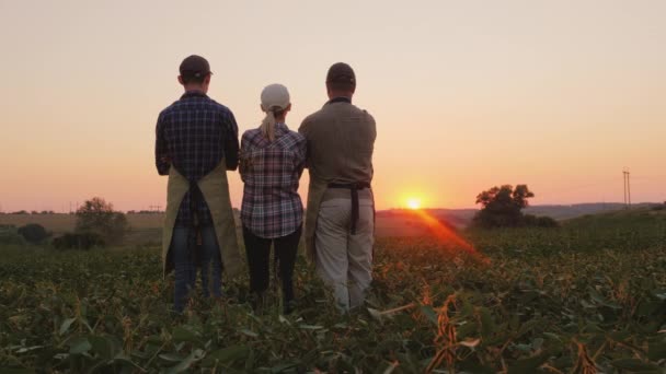 Família de agricultores assistindo o pôr do sol no campo, visão traseira — Vídeo de Stock