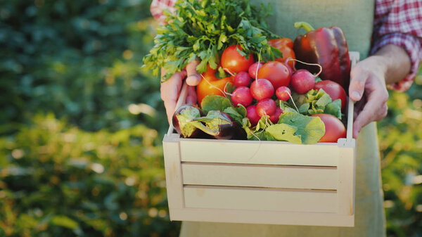 A farmer holds a box of radishes and other seasonal vegetables.