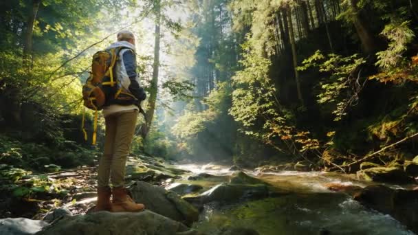 Ein einsamer Reisender bewundert die wunderschöne Waldlandschaft. Früh am Morgen scheinen die Sonnenstrahlen durch die Äste der Bäume — Stockvideo