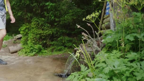 Viajante cansado com uma mochila bebe água de uma fonte na floresta — Vídeo de Stock