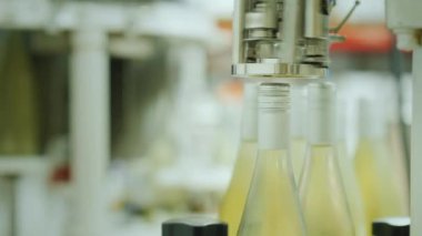 Köpüklü şarap şişe kapakları mekanizması kapatır konveyör bant hareket