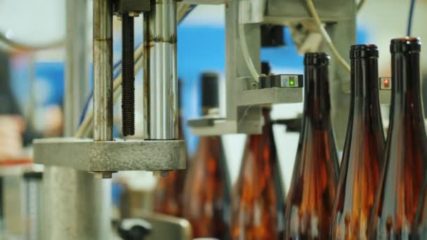 Конвейер стеклянных бутылок, линия розлива вина — стоковое видео