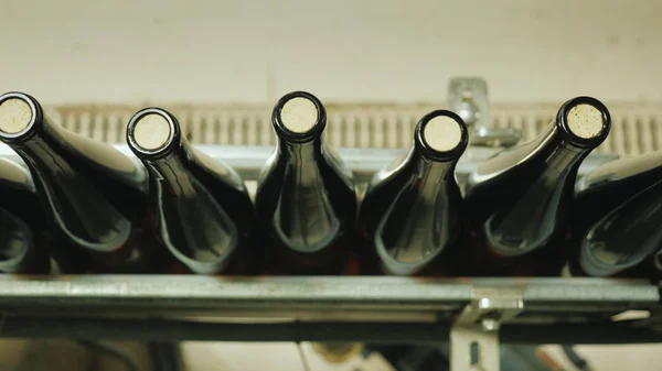 Top view of Wine bottles closed with a cork stopper move along the conveyor belt. — Stock Photo, Image