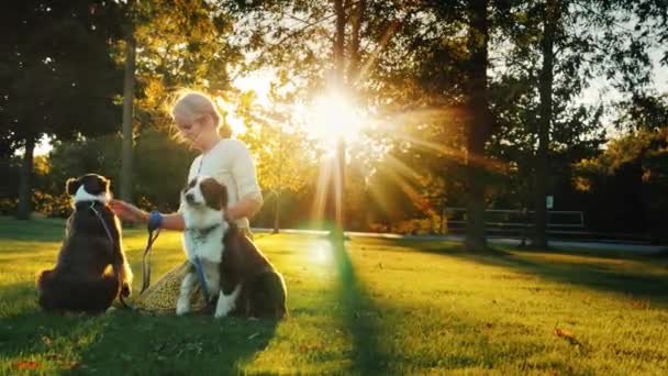 Retrato de um feliz proprietário de dois cães brincando com animais de estimação no parque, o sol os ilumina lindamente — Vídeo de Stock