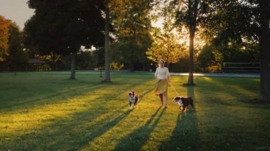 İyi giyimli bir parkta iki köpek ile günbatımında yürüyen aktif kadın