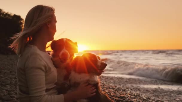 Boldog tulajdonosa két kutyával játszik-val pets a tengerparton naplementekor