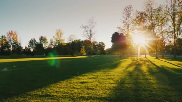Puesta de sol en un parque bien cuidado con un gran césped, el sol brilla a través de los árboles — Vídeo de stock