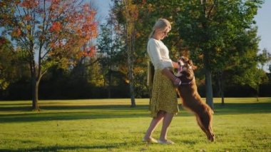 Köpek sahibi onu koyun parkta büyük bir çim üzerinde çalış. Onun pençeleri holding