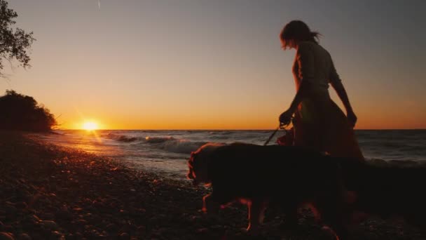 Uma mulher passeia os seus dois cães perto do lago ao pôr-do-sol. Tempo de outono ventoso — Vídeo de Stock