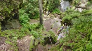 «Ana sayfa» görünümü: bir adam bir dik yolunu tırmanmak için bir kadın yardımcı olur. Ormanda yürüyüş