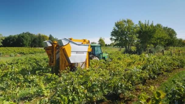Wilson, NY, EUA, outubro de 2018: O trator puxa uma máquina mecanizada de colheita de uvas através da vinha. Vista traseira — Vídeo de Stock