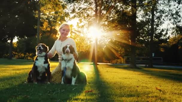 Mujer dueña de dos perros jugando con mascotas en el parque, sonríe, mira a la cámara — Vídeo de stock