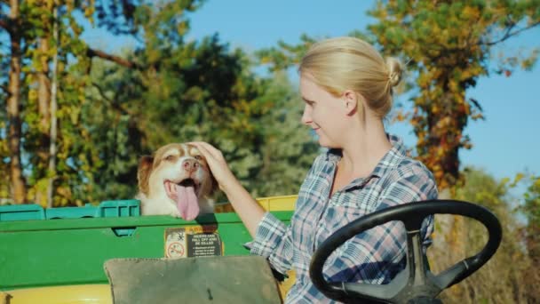 Kobieta jest rolnik za kierownicą ciągnika, małe, gładząc jego pies, który siedzi obok w plecy. Koncepcja prawdziwego przyjaciela — Wideo stockowe