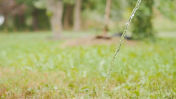 Lustiges Video mit einem Hund, der Wasser aus einem Schlauch trinkt. Schäferhund - Liebhaber von Wasserverfahren — Stockvideo