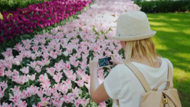 Bir kadın ihale pembe lale resimleri Keukenhof parkta alıyor. Hollanda kavramında seyahat