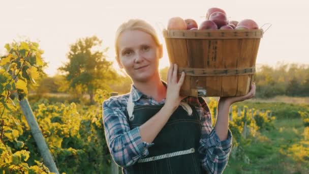 Akkerbouwer vrouw draagt een korf met rijpe sappige appels uit de tuin. — Stockvideo