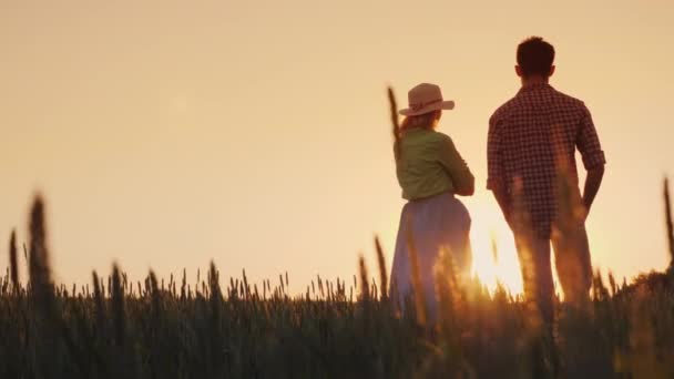 Dois agricultores admiram o pôr-do-sol sobre o campo de trigo. À espera de uma boa colheita — Vídeo de Stock