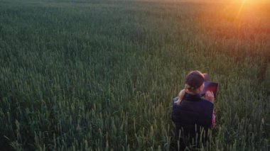 Çiftçi alanında geç saatlere kadar çalışır. Spikelets buğday eğitim oturur, bir tablet kullanır