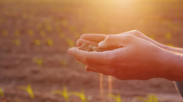 Τα χέρια του αγρότη με εύφορη γη. Έννοια της βιολογικής γεωργίας — Φωτογραφία Αρχείου