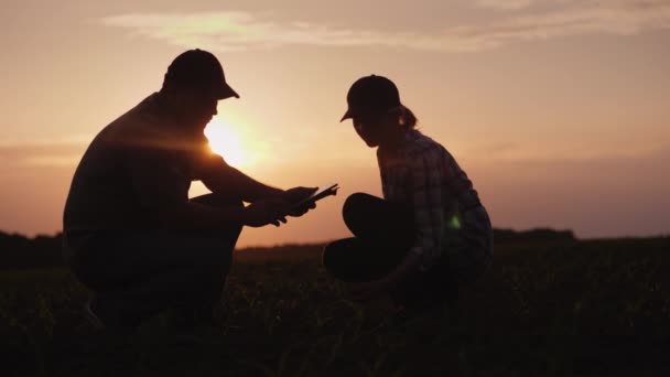 Una familia de agricultores que trabajan en el campo por la noche al atardecer. Siéntate y explora los brotes jóvenes — Vídeo de stock