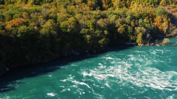 Dalszy jest rzeka Niagara. Natura USA i Kanady. — Wideo stockowe