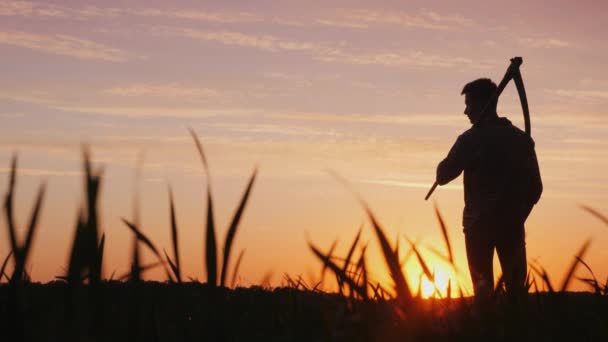 Silhouette of a farmer in a field. Looks forward, holds the scythe for mowing the grass behind his shoulder — 图库视频影像