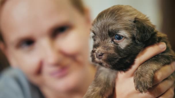 Portret van een eigenaar van de hond zijn schattige puppy bewonderen — Stockvideo