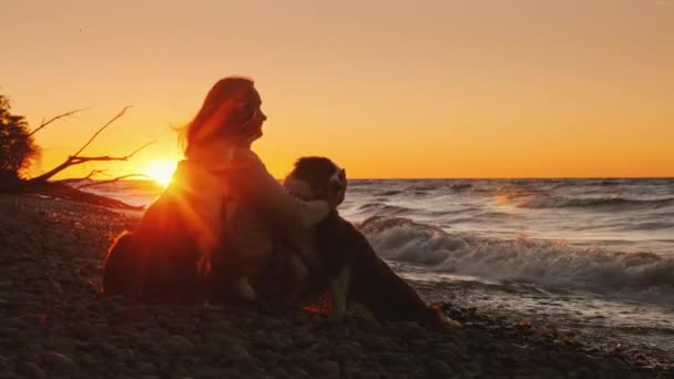 Feliz Proprietário Dois Cães Brincando Com Animais Estimação Praia Pôr — Vídeo de Stock